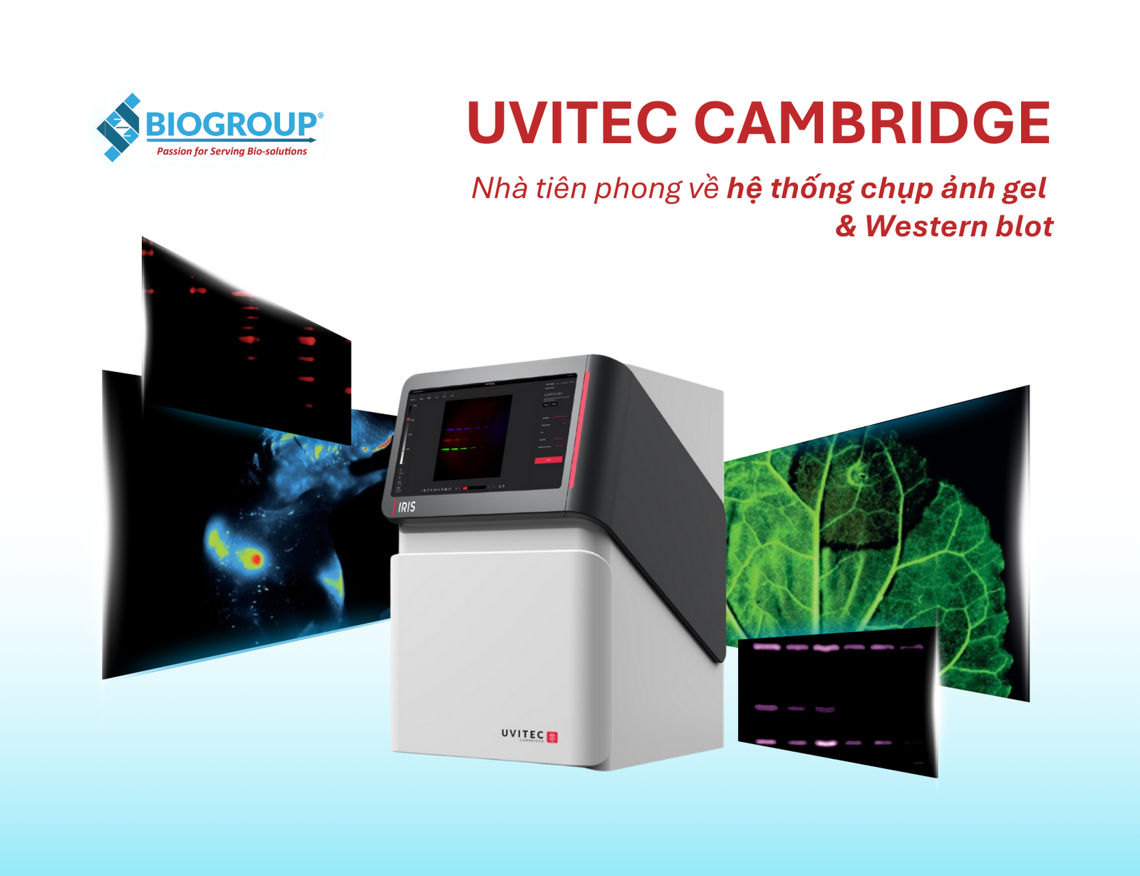 Uvitec Cambridge – Nhà tiên phong về hệ thống chụp ảnh gel & Western blot